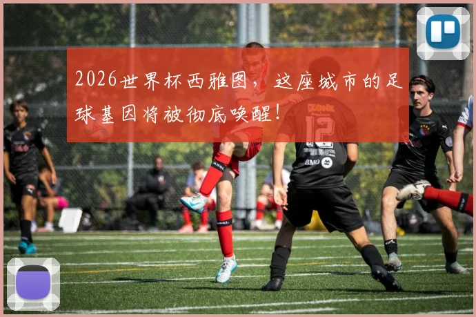 2026世界杯西雅图，这座城市的足球基因将被彻底唤醒！